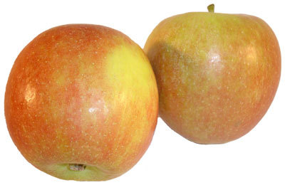 Apfel Braeburn (VKE = ab 10 Stck.)